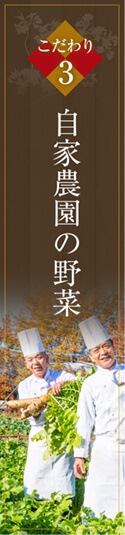 自家農園の野菜